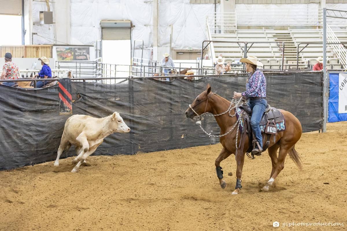 Ruckus Performance Equine | Springfield TN