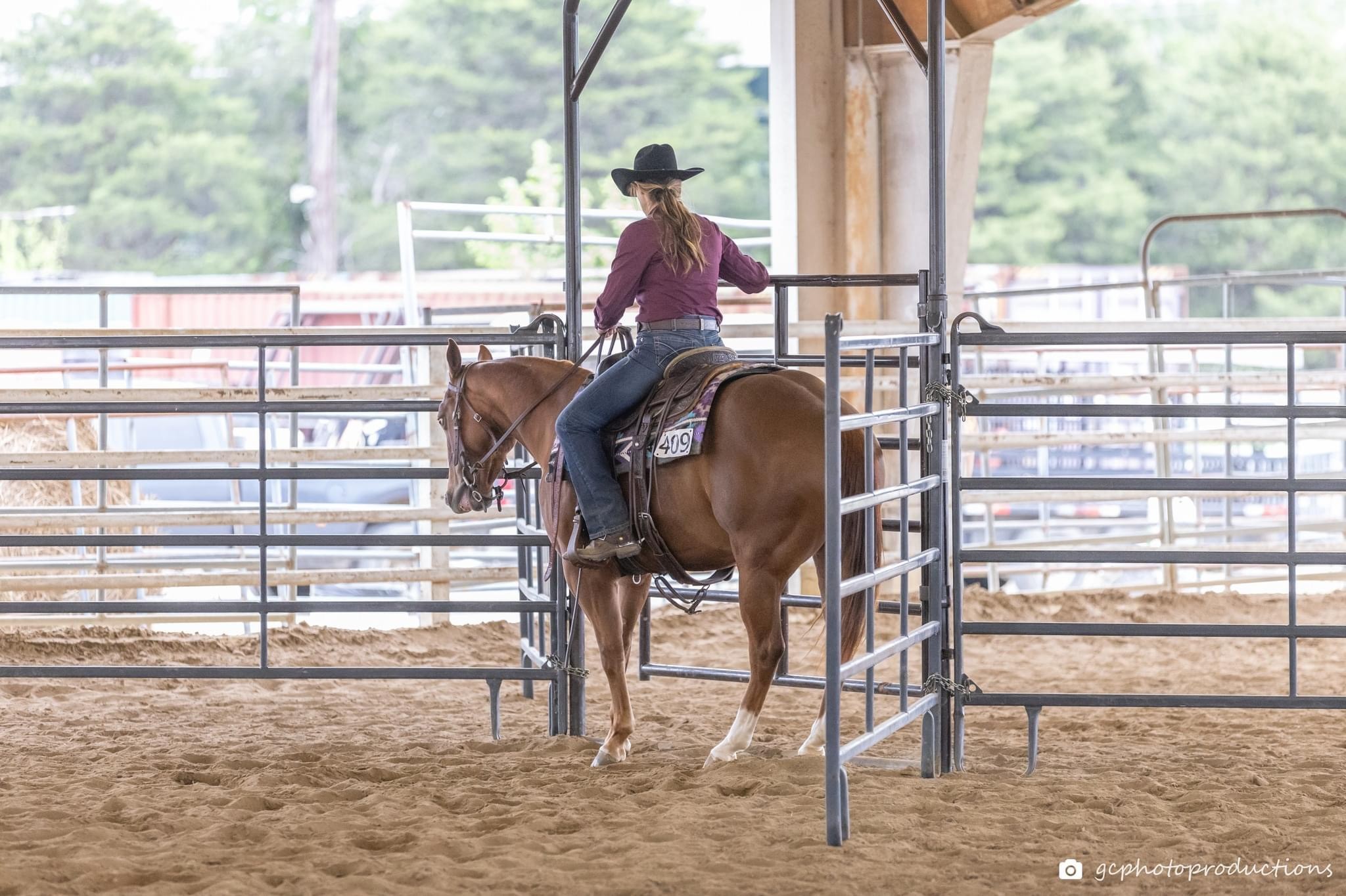 Ruckus Performance Equine | Springfield TN