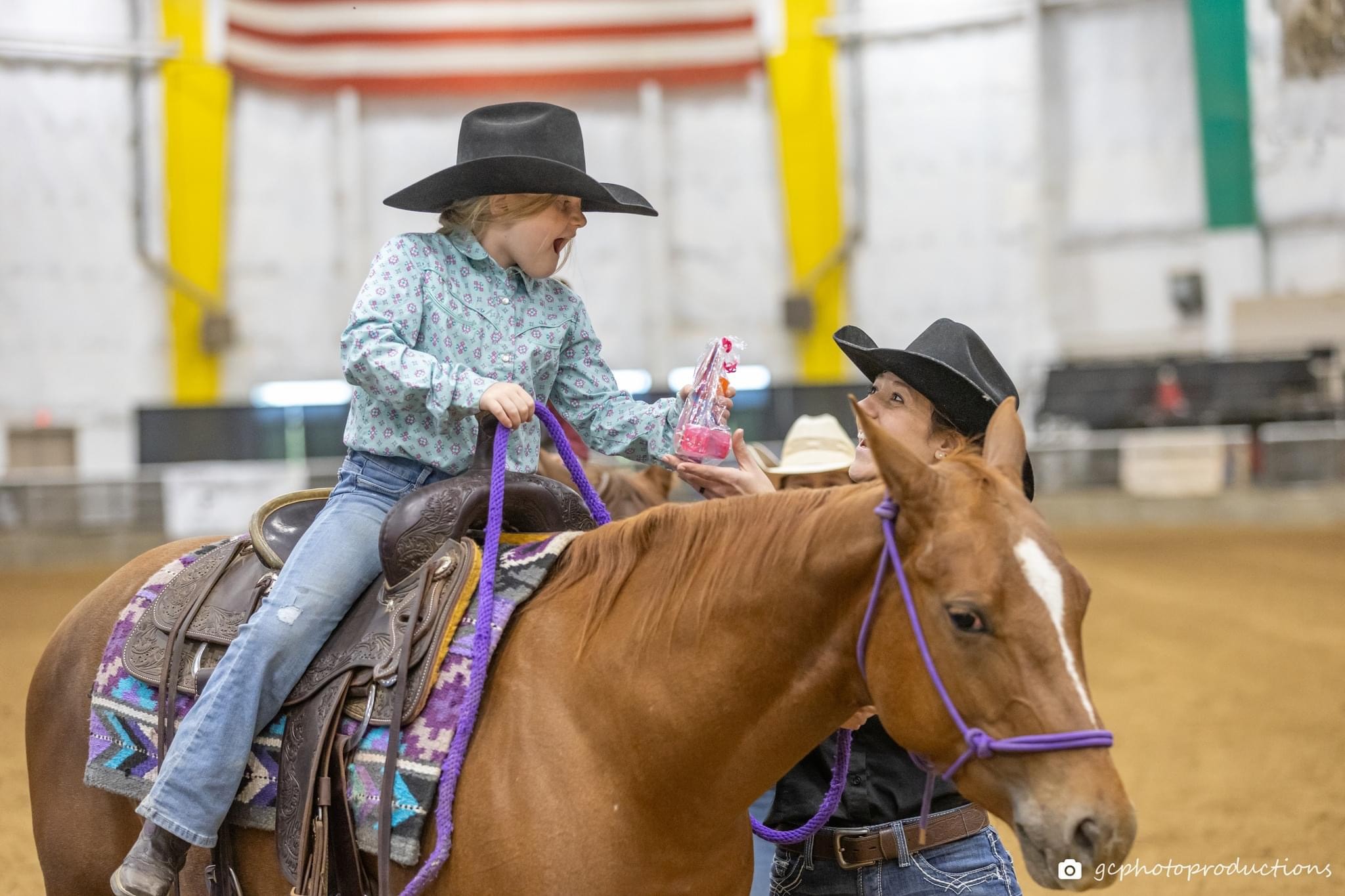 Ruckus Performance Equine | Springfield TN