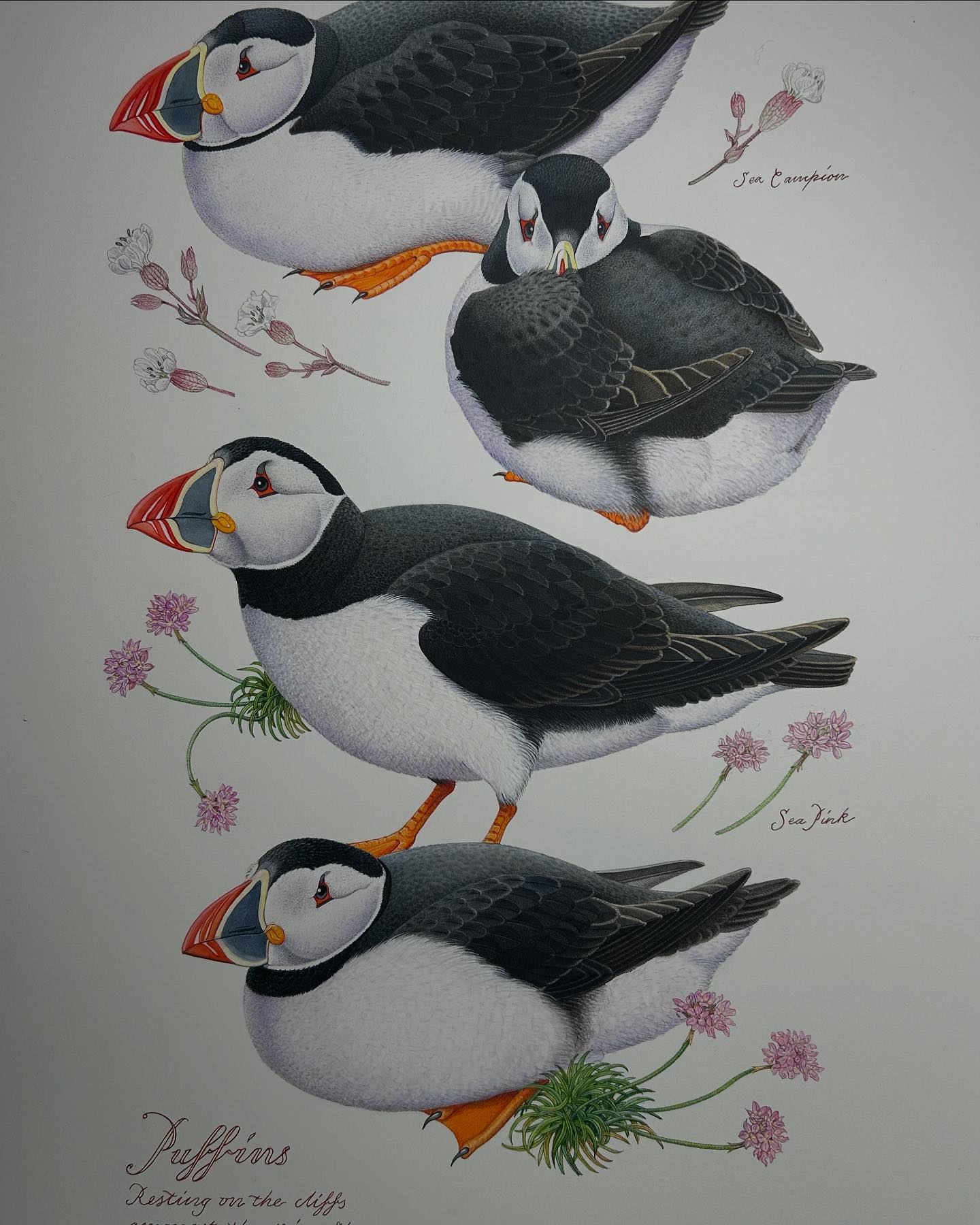 Richard Partis Artist