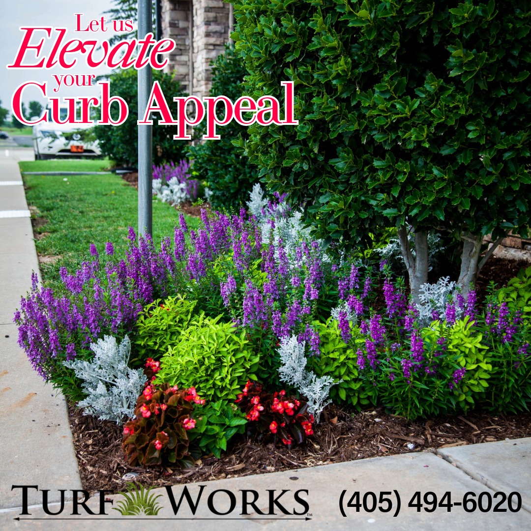 TurfWorks LLC - 🌷 Elevate your curb appeal with Turfworks'...