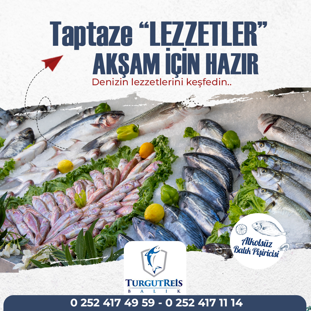 TurgutReis Balık Marmaris - Taptaze 