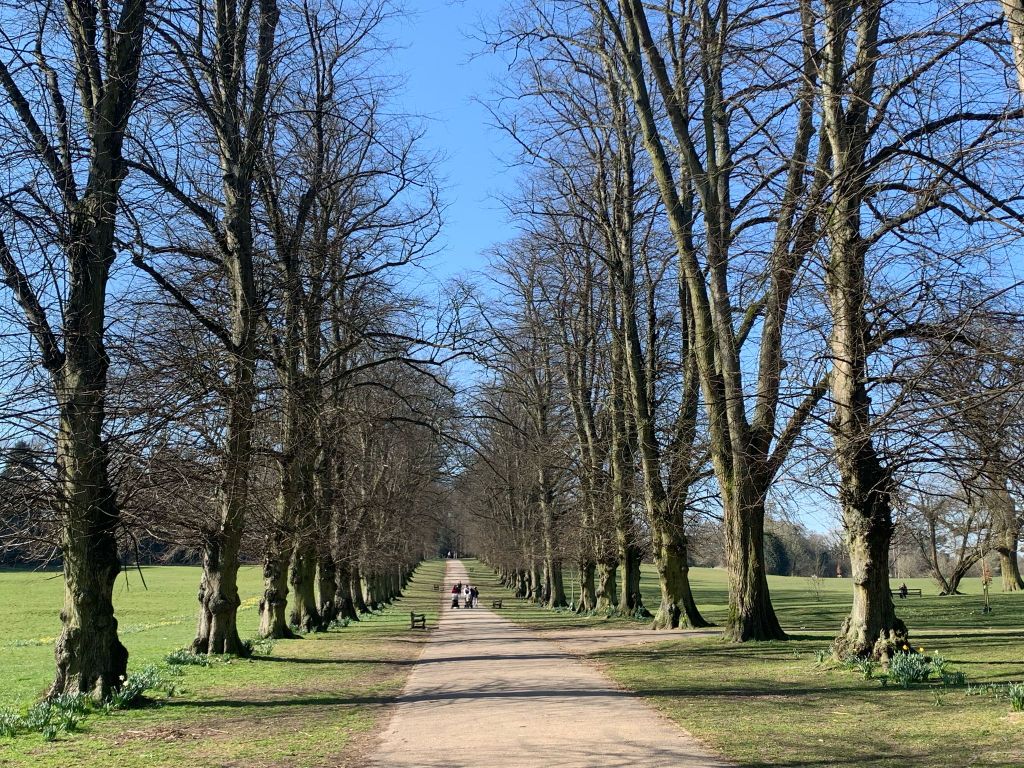 Just wanted to share this with everyone in Harpenden 😊💕 | Facebook