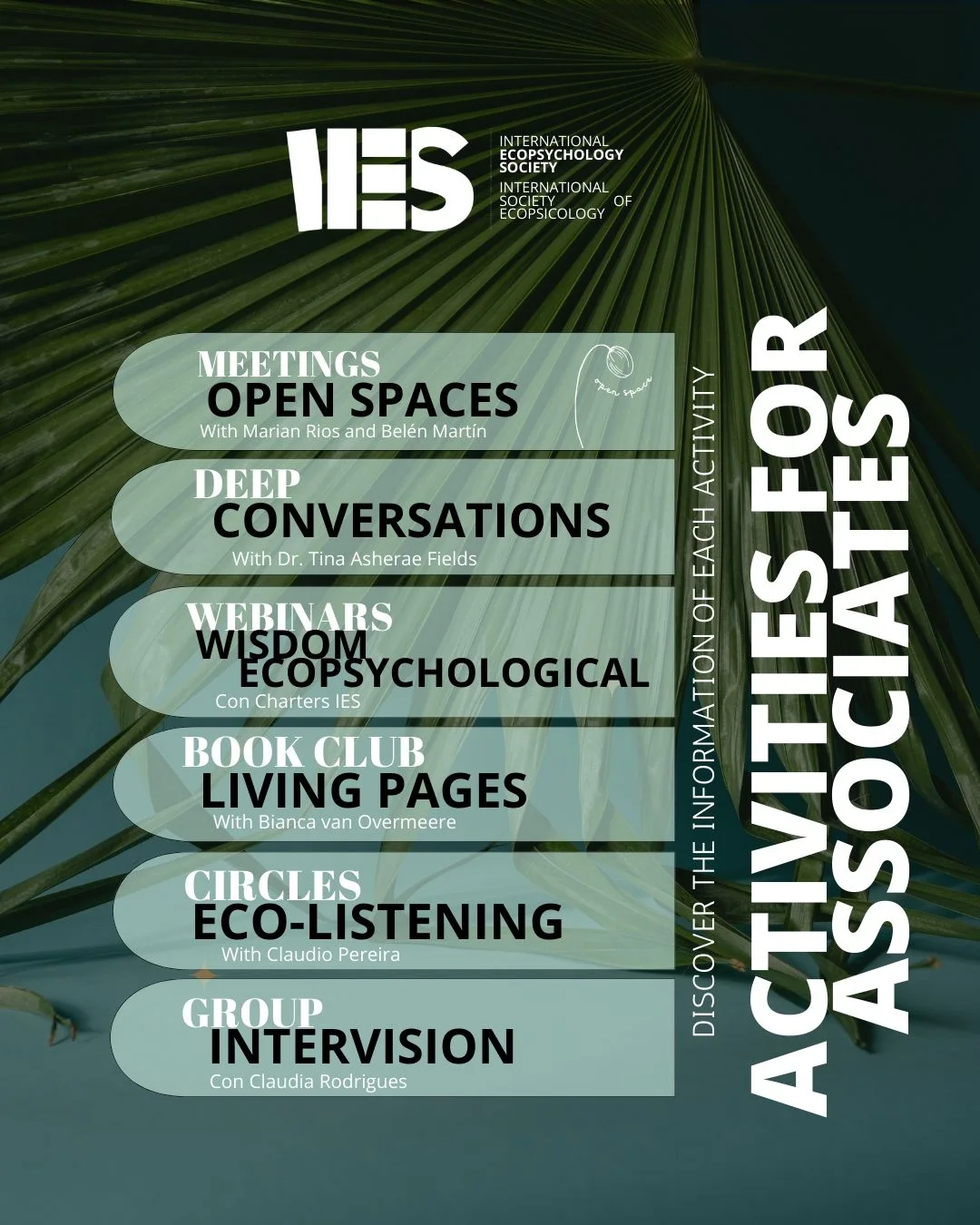 Curated visual reference: Visual Reference: International