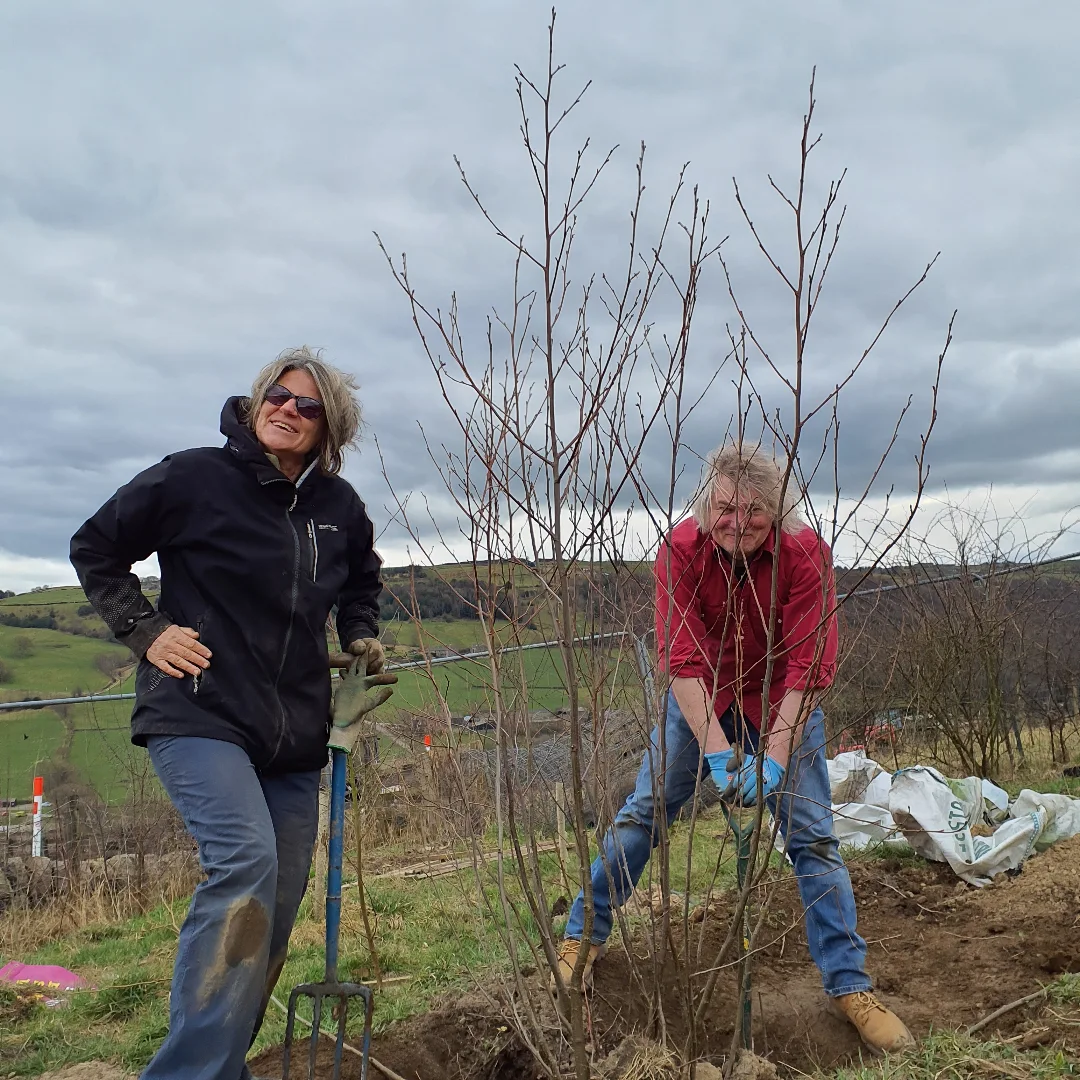 Forus Tree | Hebden Bridge