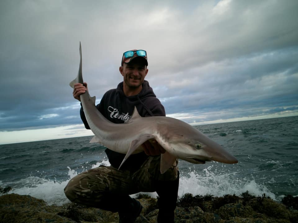 🦾👊🏻🦾 First shore caught tope for... - Century Sea Fishing | Facebook
