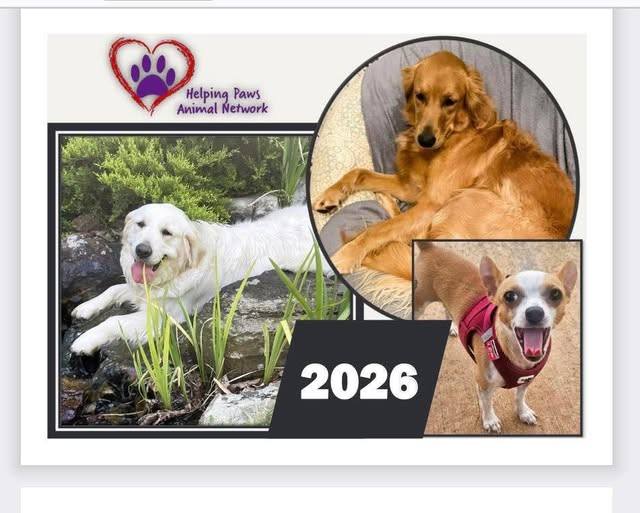 Helping Paws Animal Network Resales for Rescue! | UPDATE: DELIVERY ...
