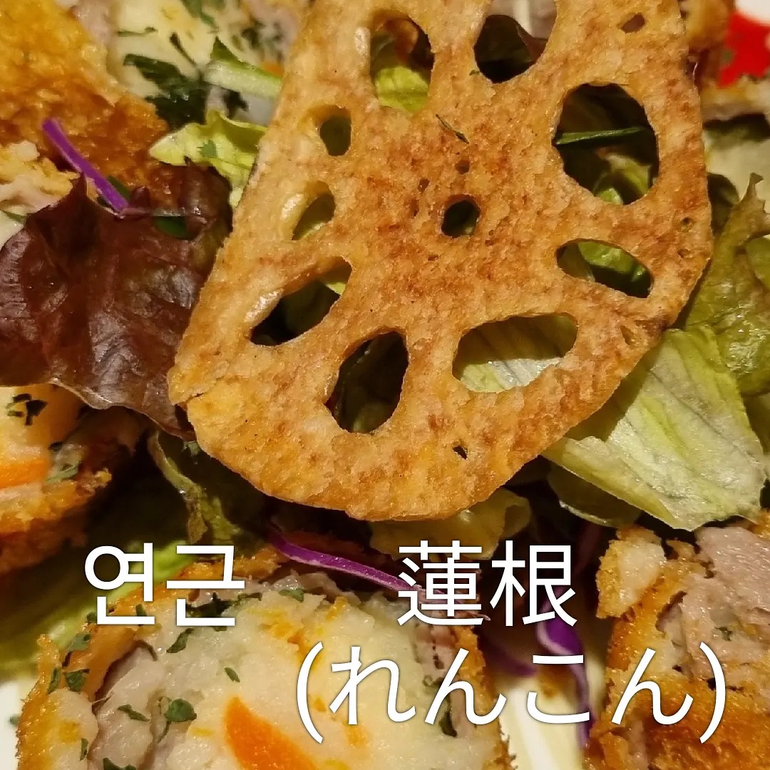 NSLA원어민강사회 - 무료 레벨 테스트 / 일본어 레슨 / 전화,화상 왕초보부터 고급일본어까지 NSLA 원어민강사회 02 ...