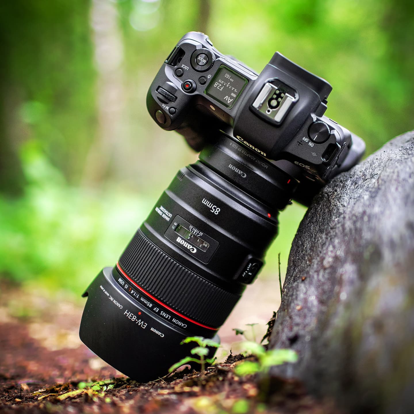 Mika - Canon EF85mm/f1.4L IS USM lens is the perfect portrait lens 