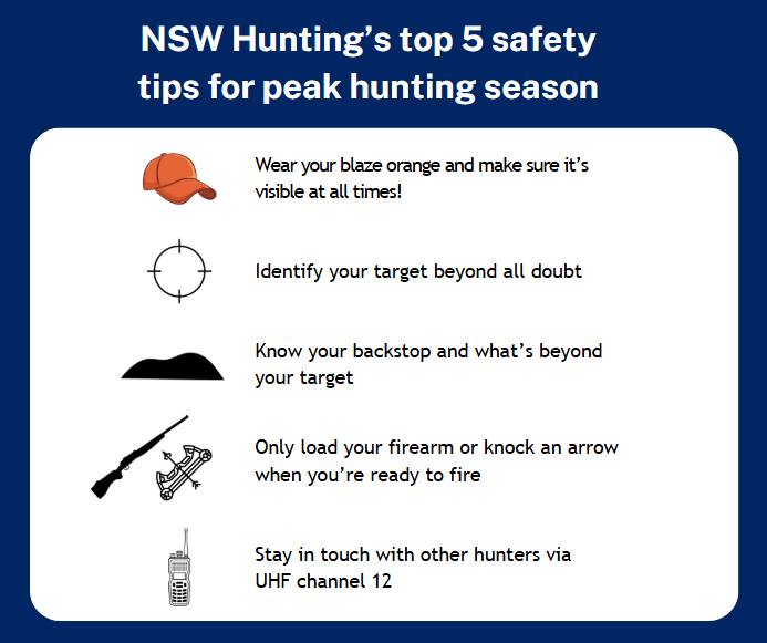 NSW Hunting