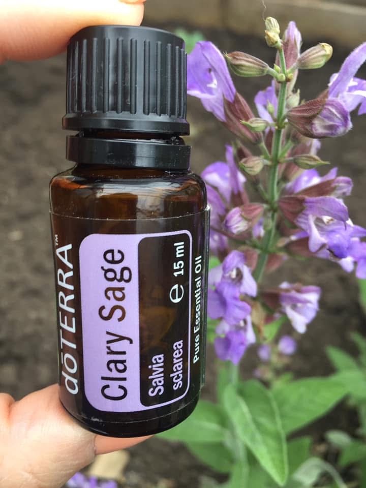 doTERRA Clary Sage &ベルガモット 15ml Amazon.com: doTERRA Clary
