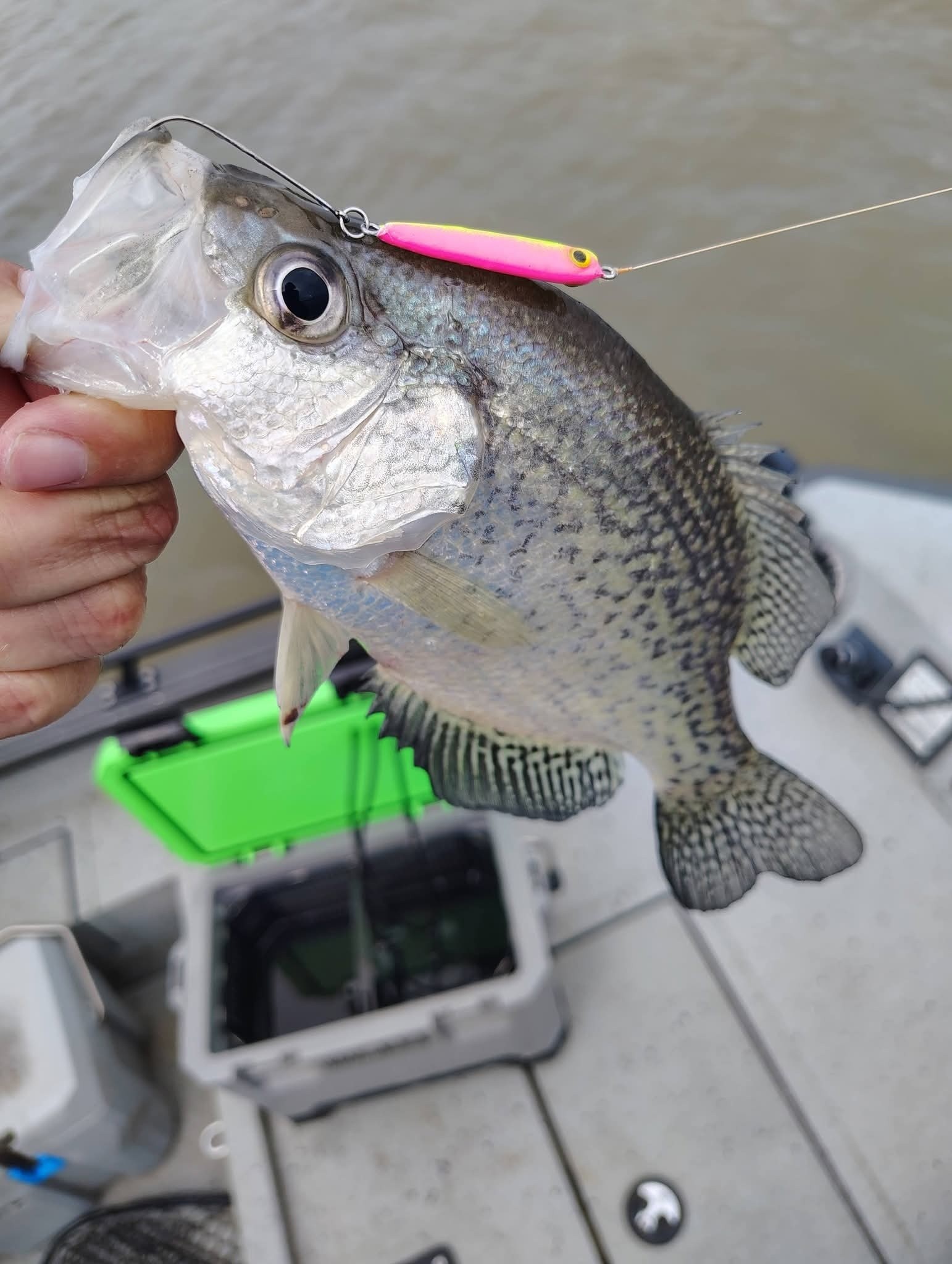 brush buster fishing lure Hi-Fin Hawg Surface – Musky Shop H Lures King Buster Bling Series feature a patented silicone ‘Holo Bait Buster Bodies – D.O.A.