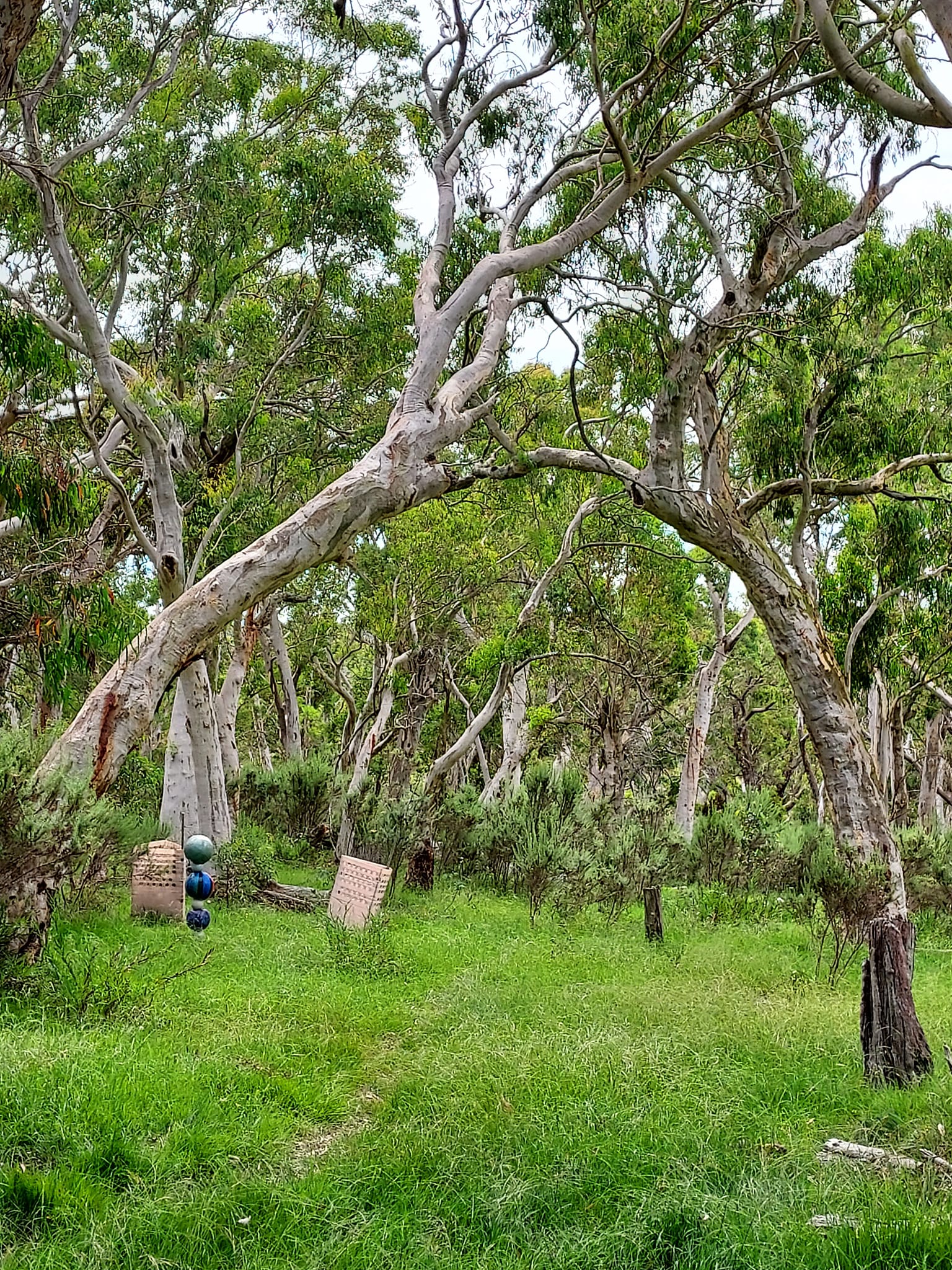 Purple Ridge Pottery,... - Purple Ridge Pottery, Australia