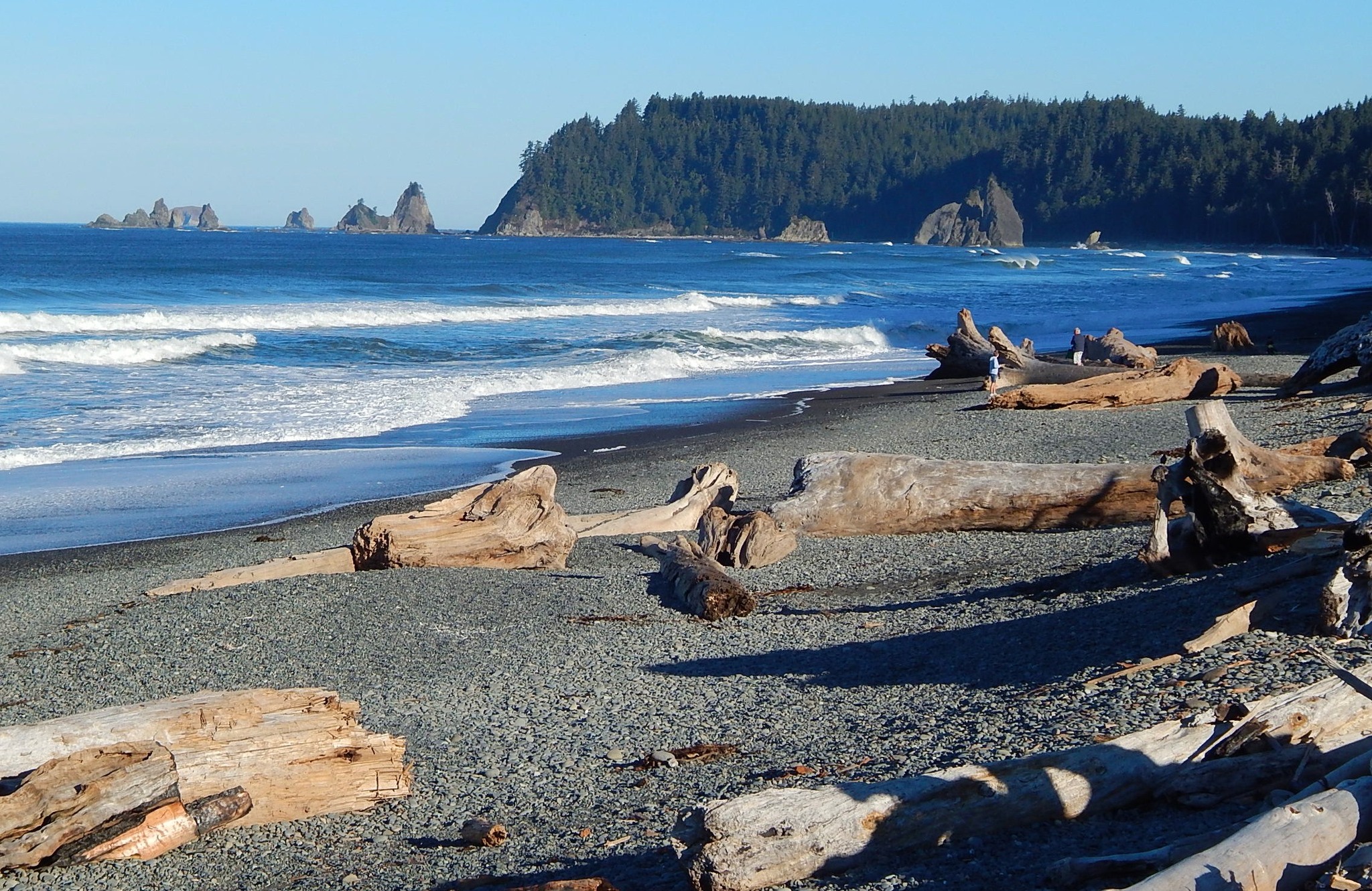 Did you know that... - Northwest Travel & Life Magazine