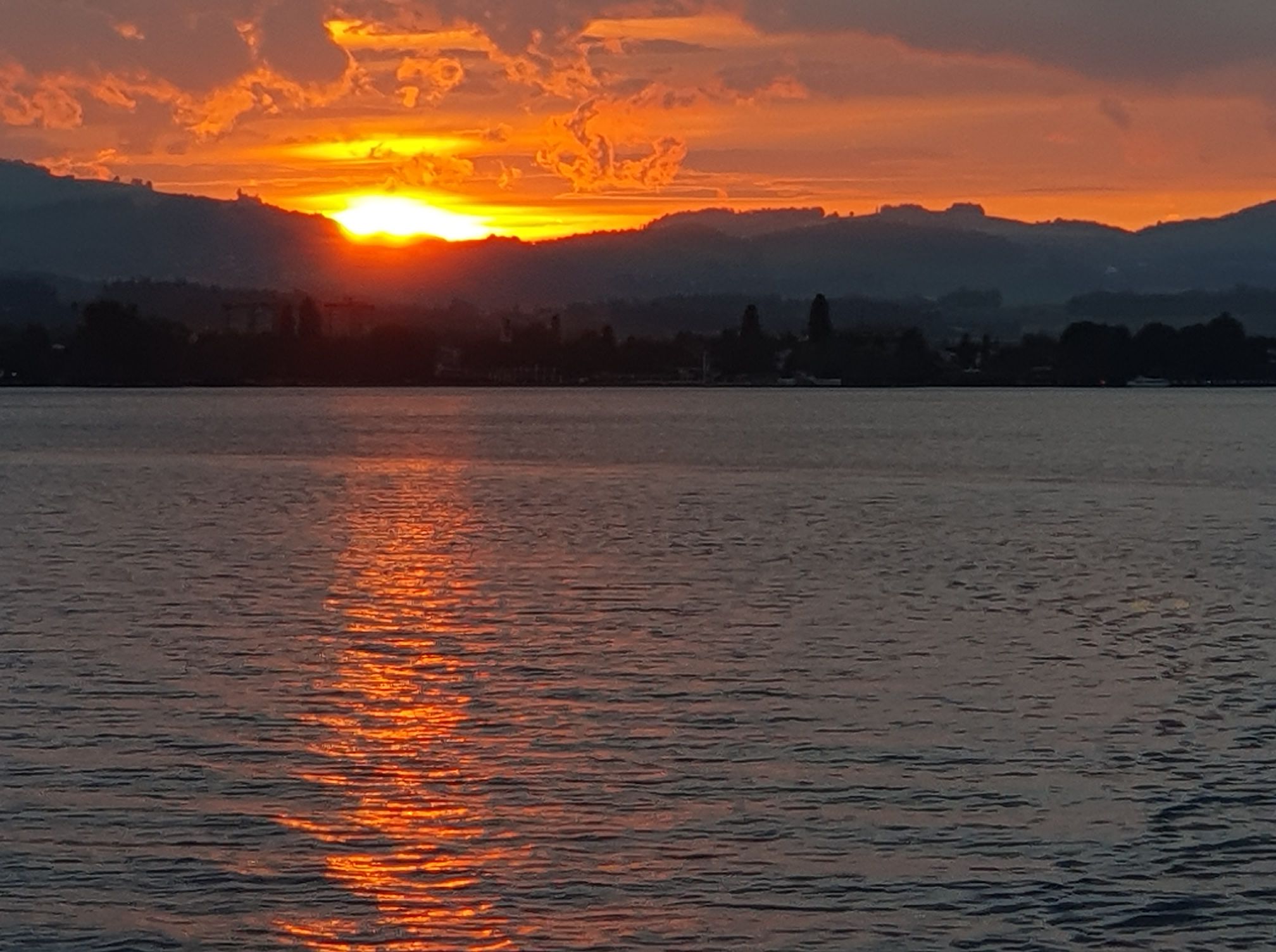 Offenes Fischerforum der Schweiz | Mega Abend am Zürichsee | Facebook