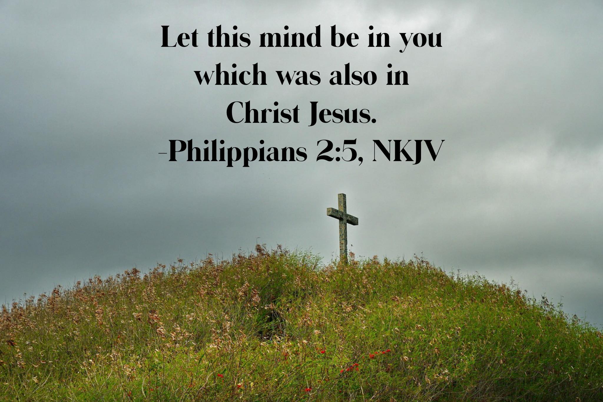Barbara - “Let this mind be in you which was also in Christ Jesus ...