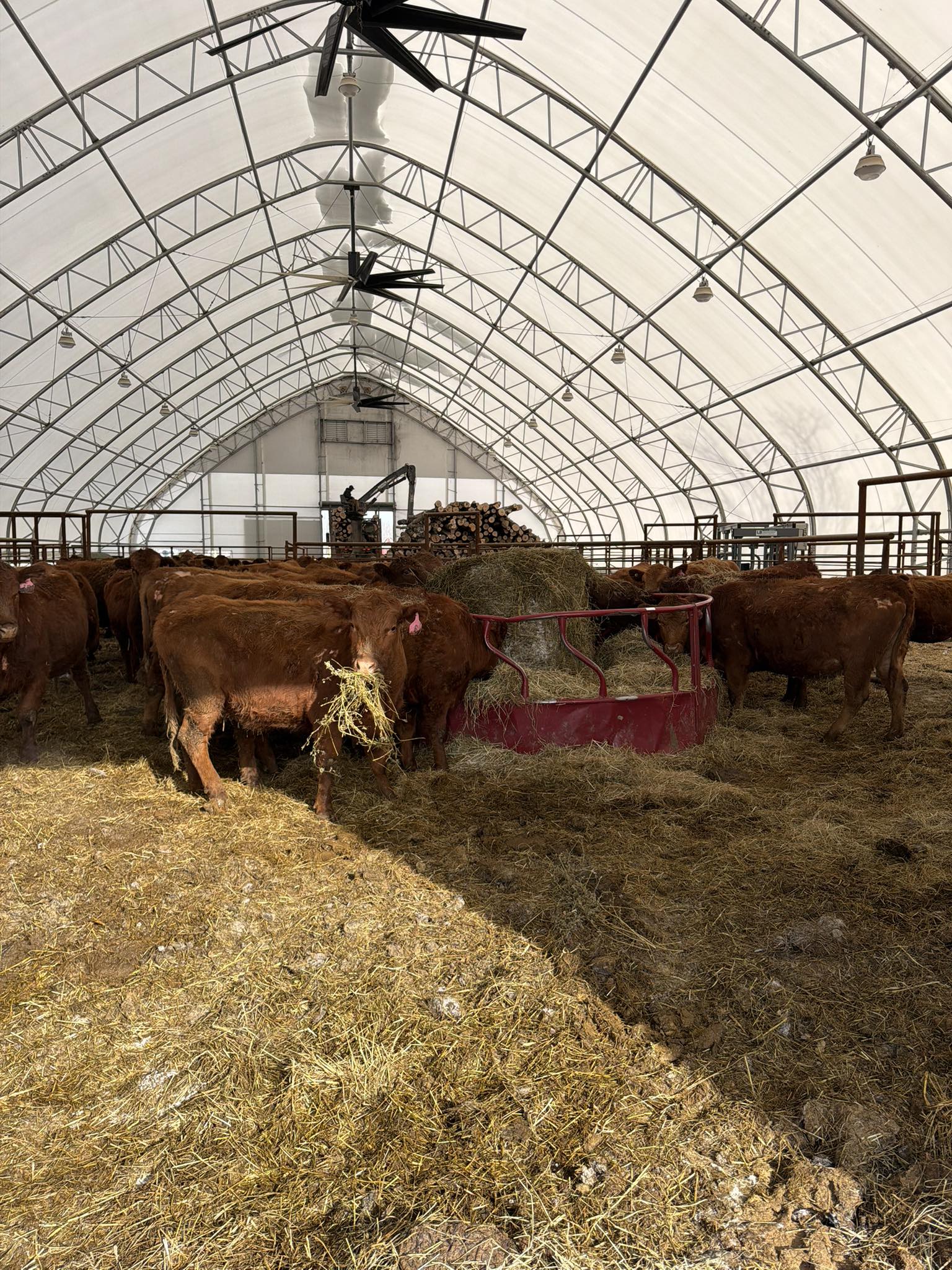 Red Ranch Beef Co. | Crown Point NY