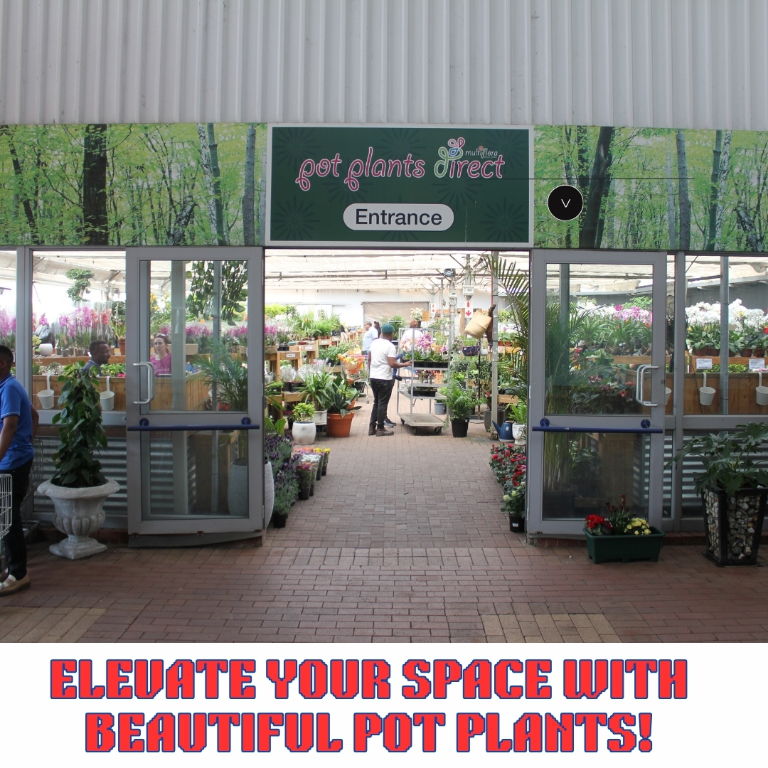 🪴🪴🪴Time to get potty at Keengro Garden Centre at Rietvlei Zoo