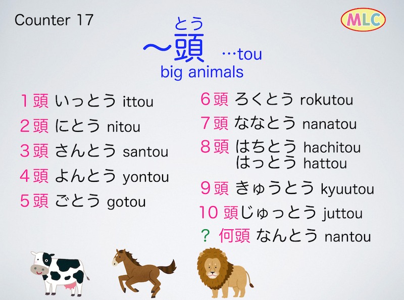 Japanese Language - MLC added a - Japanese Language - MLC