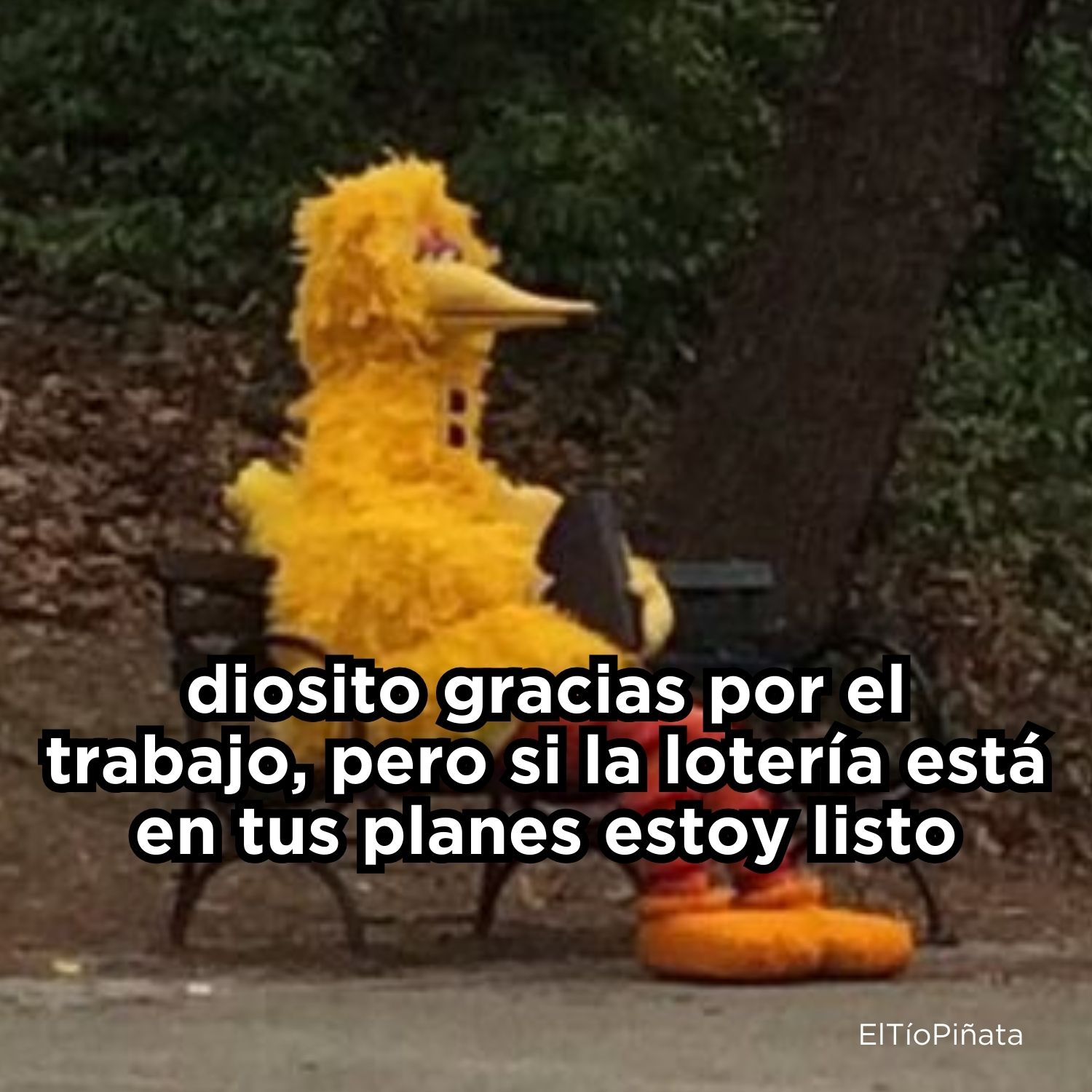 El Tío Piñata - 🙏🏼🙏🏼🙏🏼 | Facebook