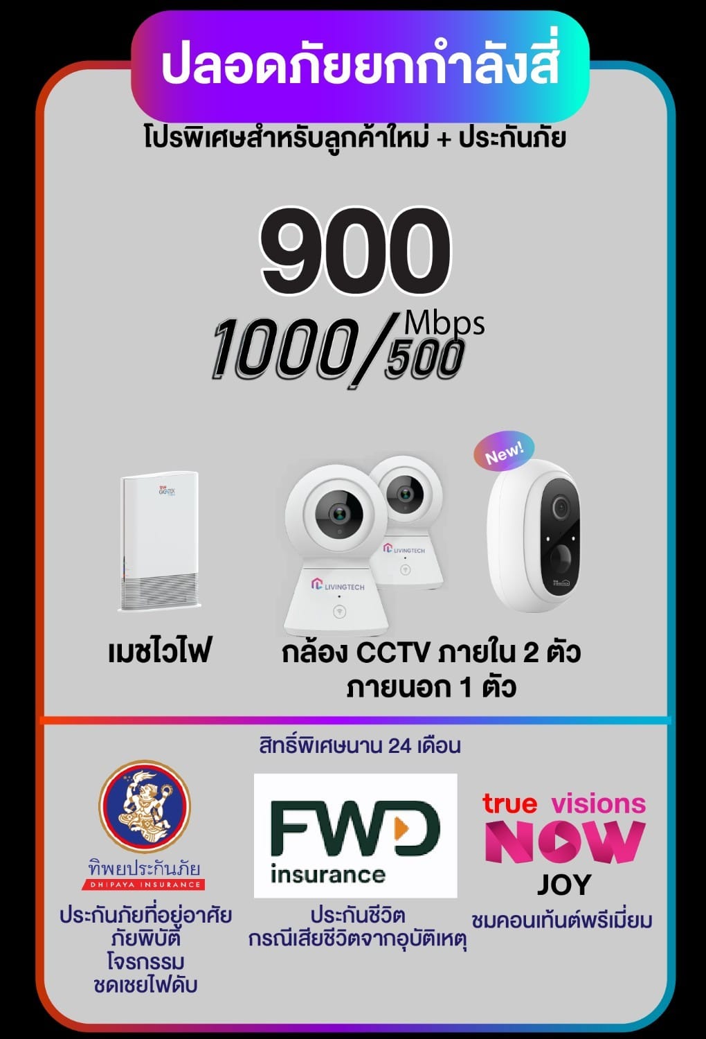 True อินเตอร์เน็ต
