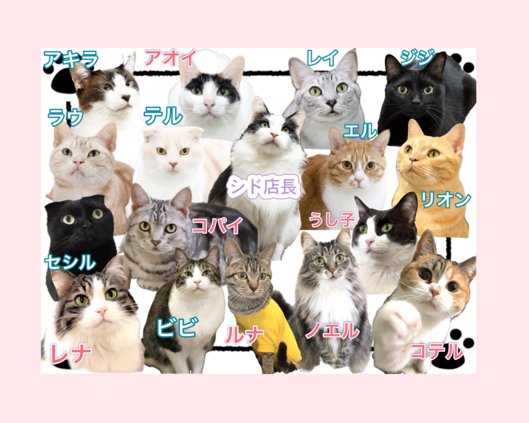 当時のメディア報道・掲載写真