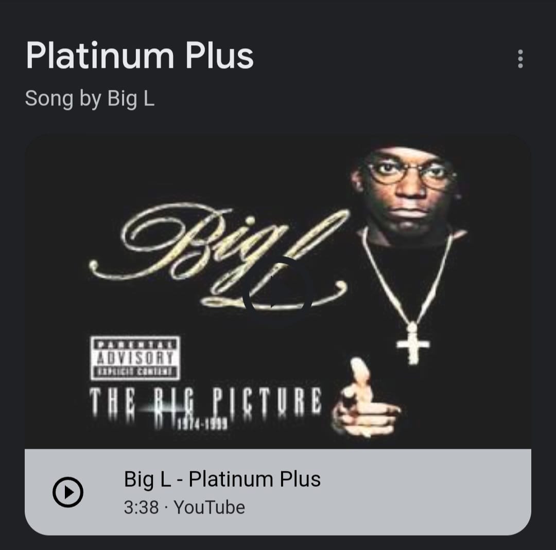 洋楽 Big L THE BIG PICTURE Big L PlatinumPlus レコード Big L THE BIG PICTURE Big L PlatinumPlus