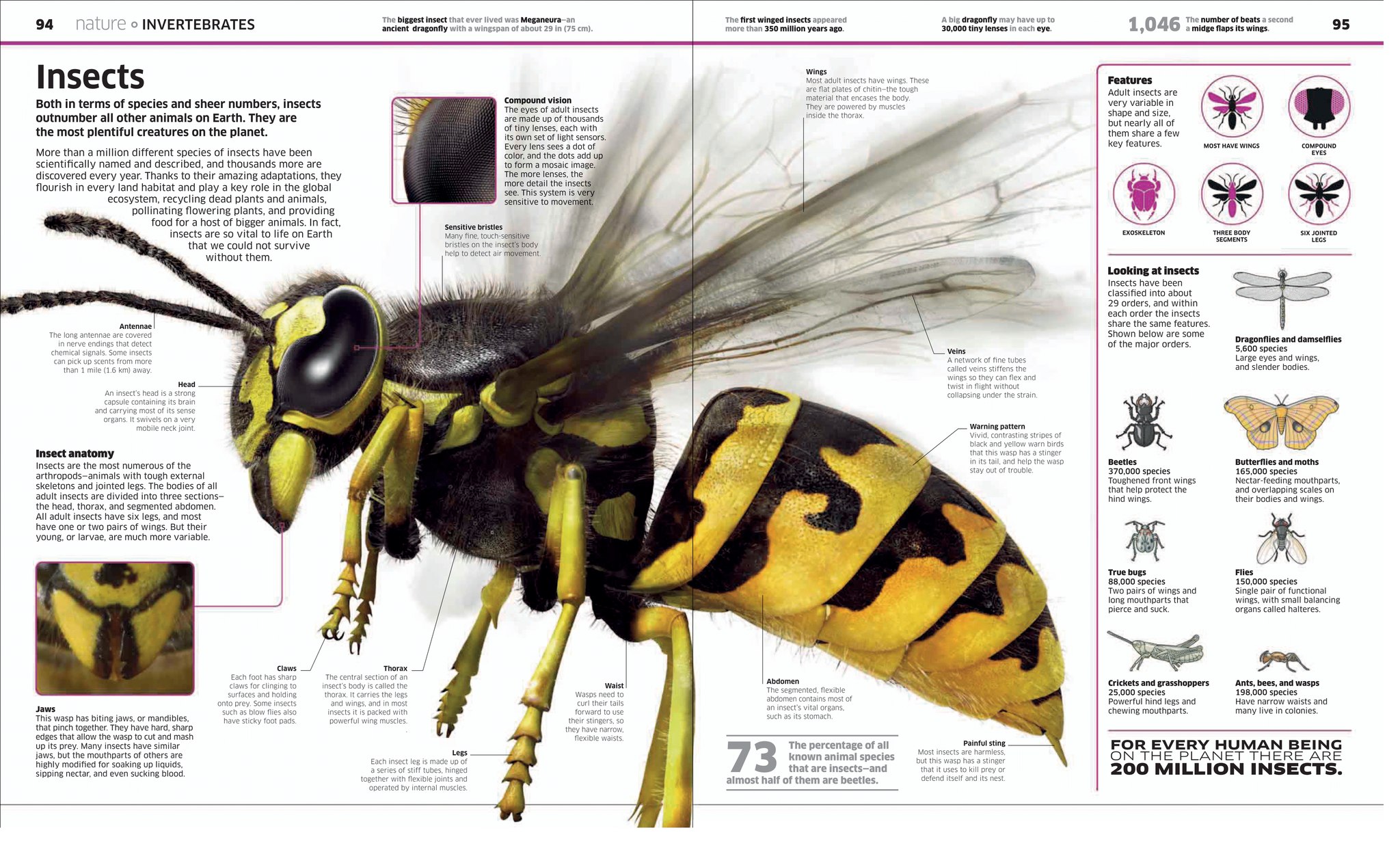 Ceres Science - Insects by DK Knowledge Encyclopedia.