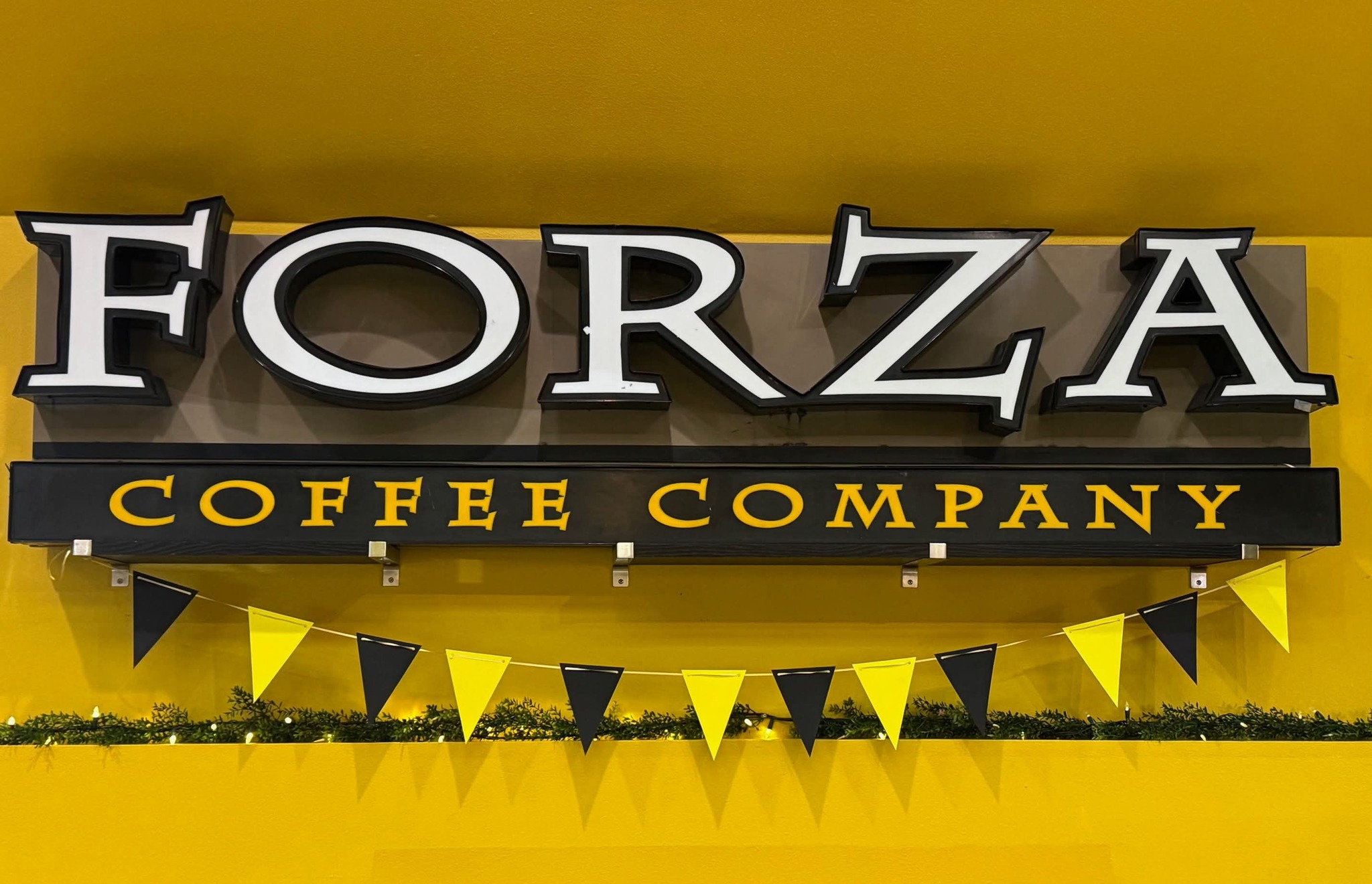 Forza Coffee Company | Olympia WA