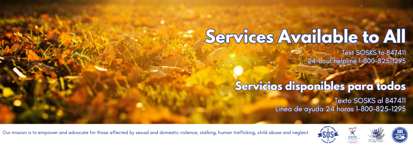 Kansas Coalition Against Sexual and Domestic Violence (KCSDV) added a ...