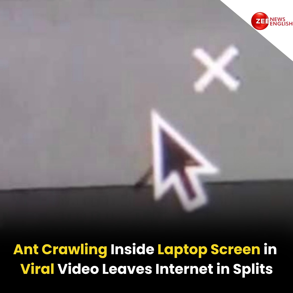 A video showing an ant crawling inside... - Zee News English