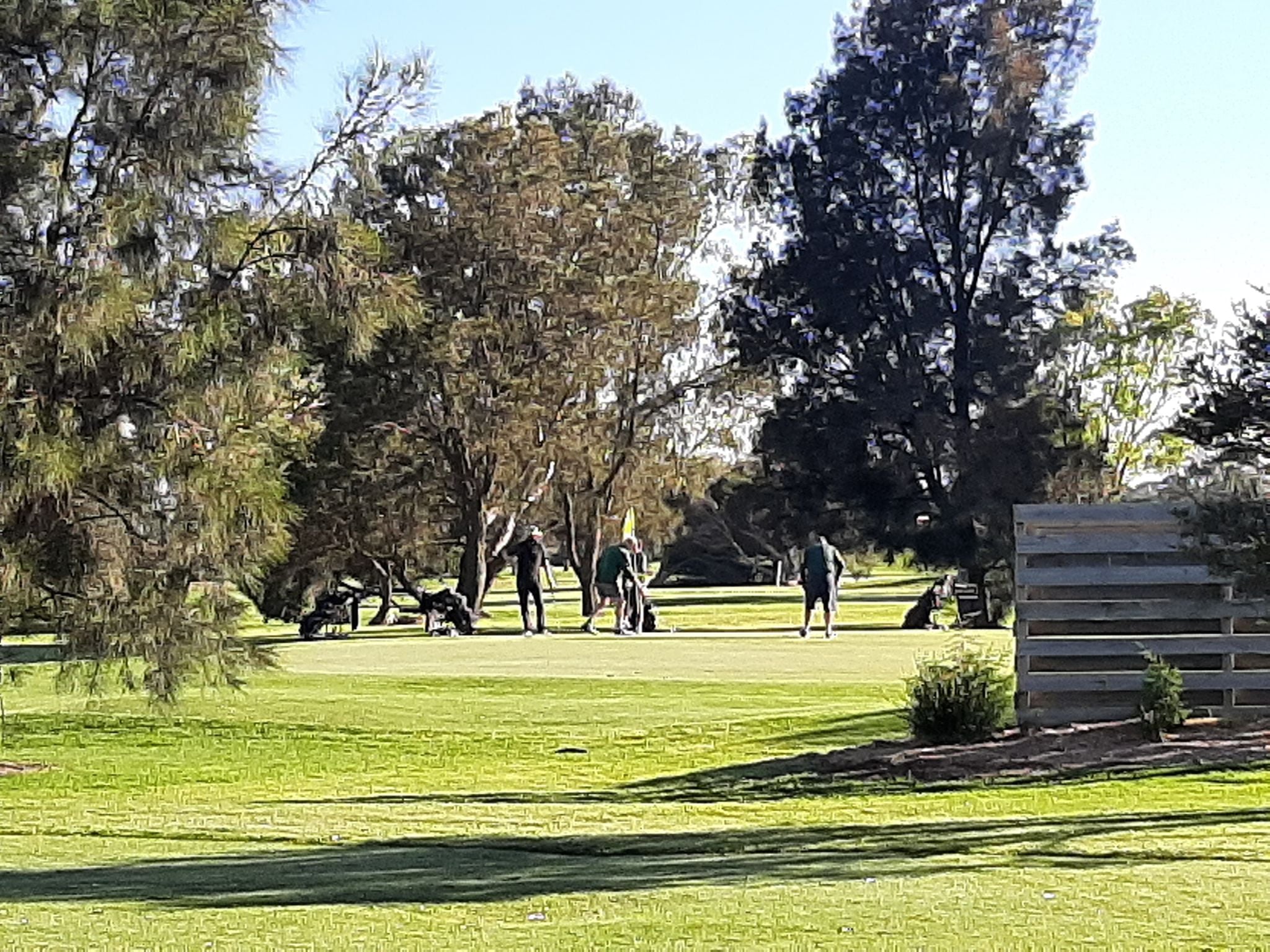 The Old Boys Social Golf... - Edithvale Public Golf Course
