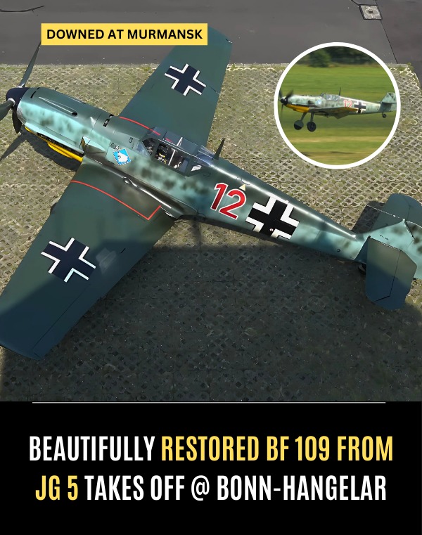 純正「Bf 109」生写真額装 アート用品 純正「Bf 109」生写真額装