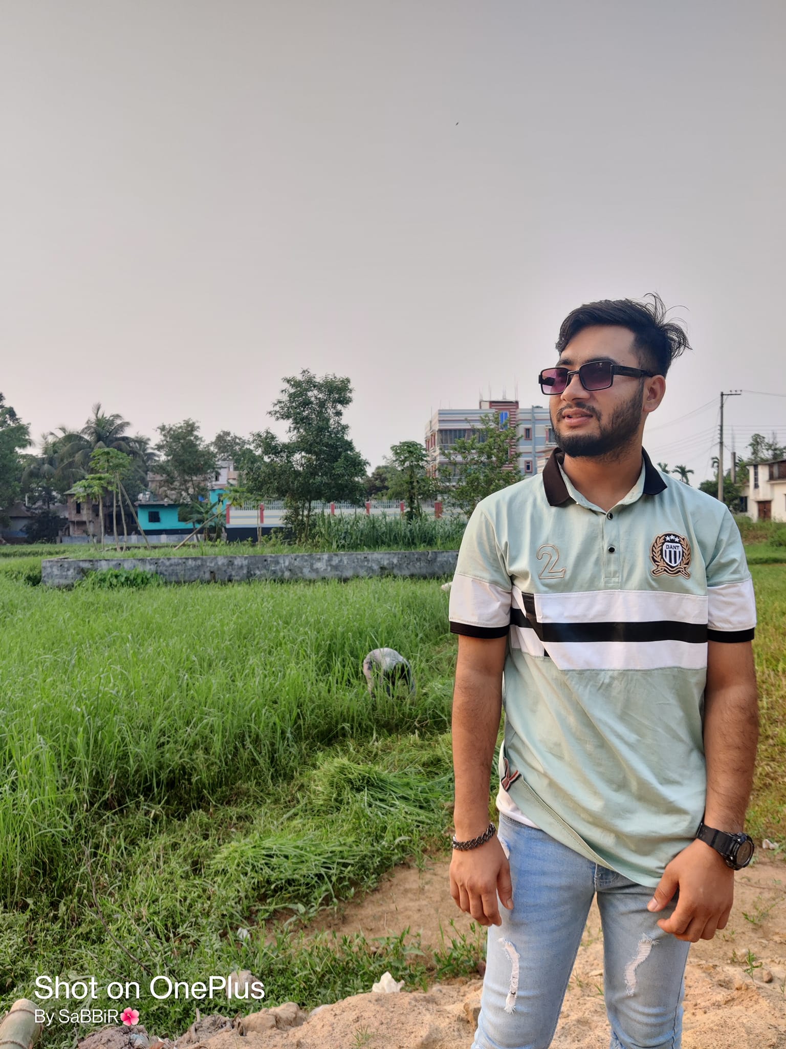 M R Sorif