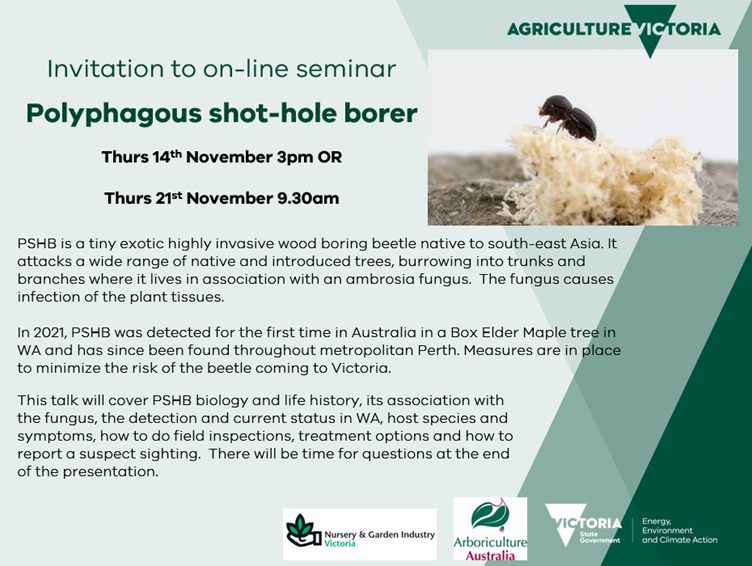 Arboriculture - 🖥️🪳 Polyphagous Shot Hole Borer Webinar 📅 Thurs 14th ...