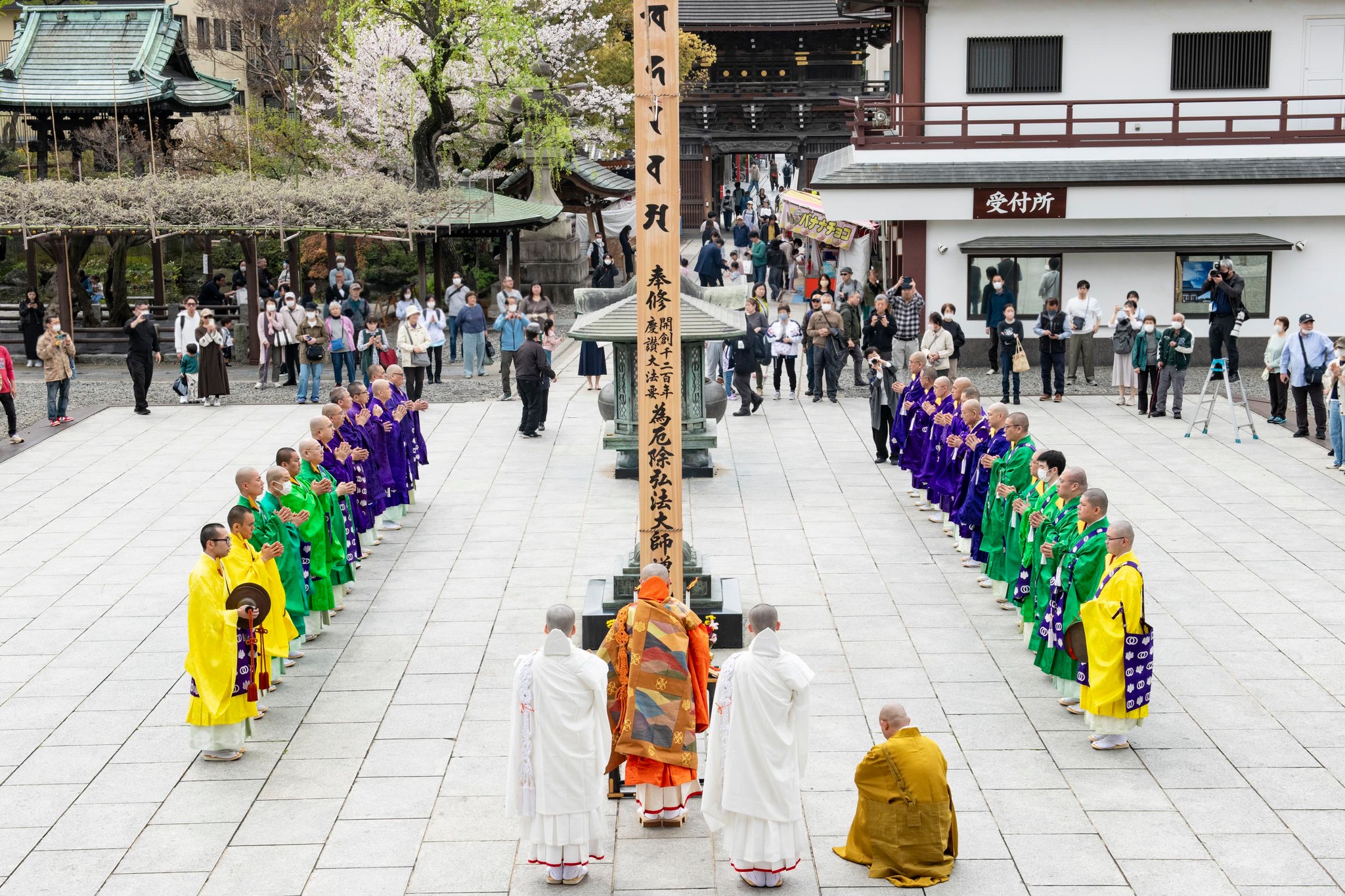 お花の状況」4月9日 牡丹園のお花は3部咲きとなりました 週末から来週