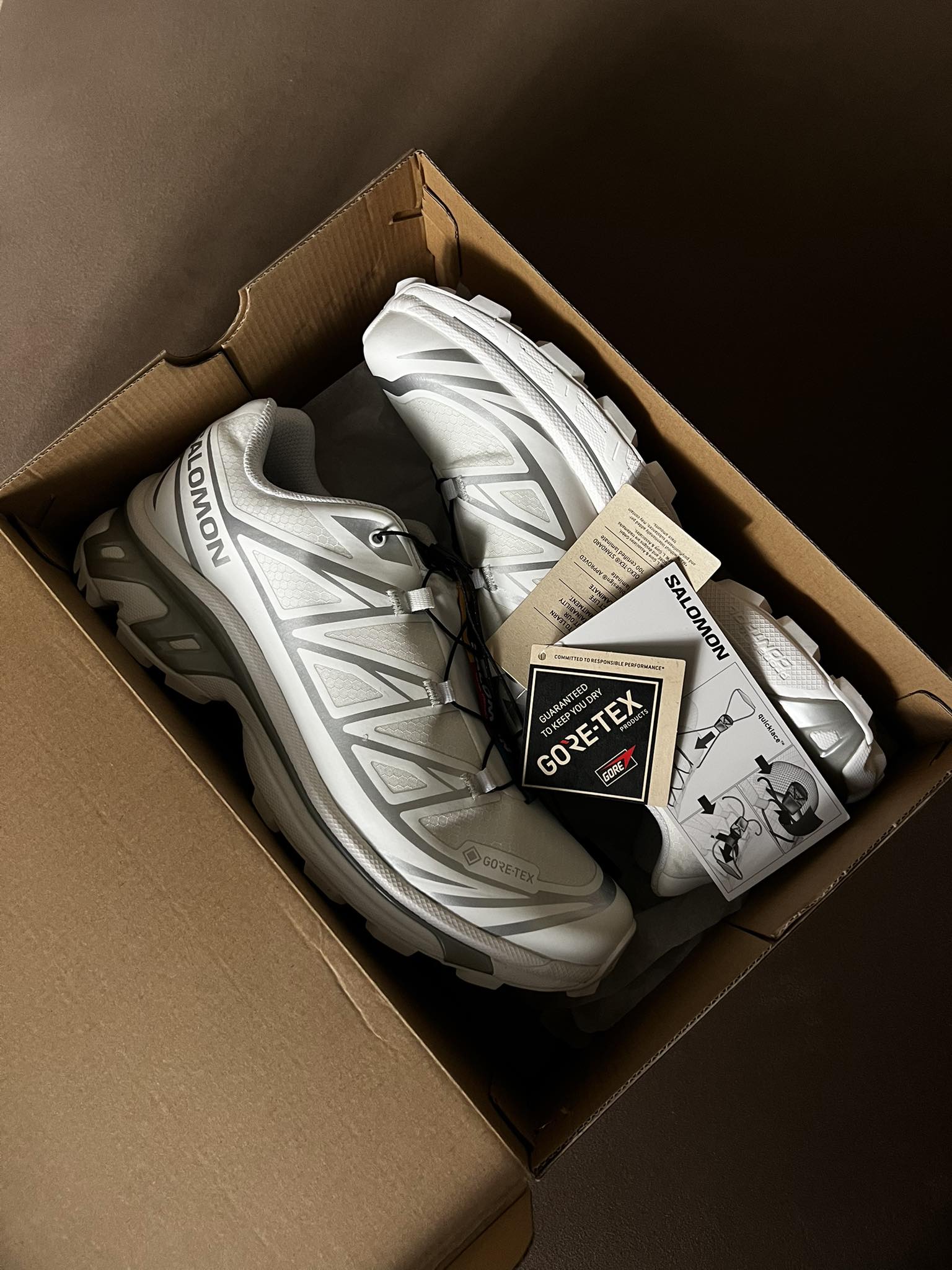 salomon xt 6 emerald end 20th anniversary Us10 men Brandnew P16,000