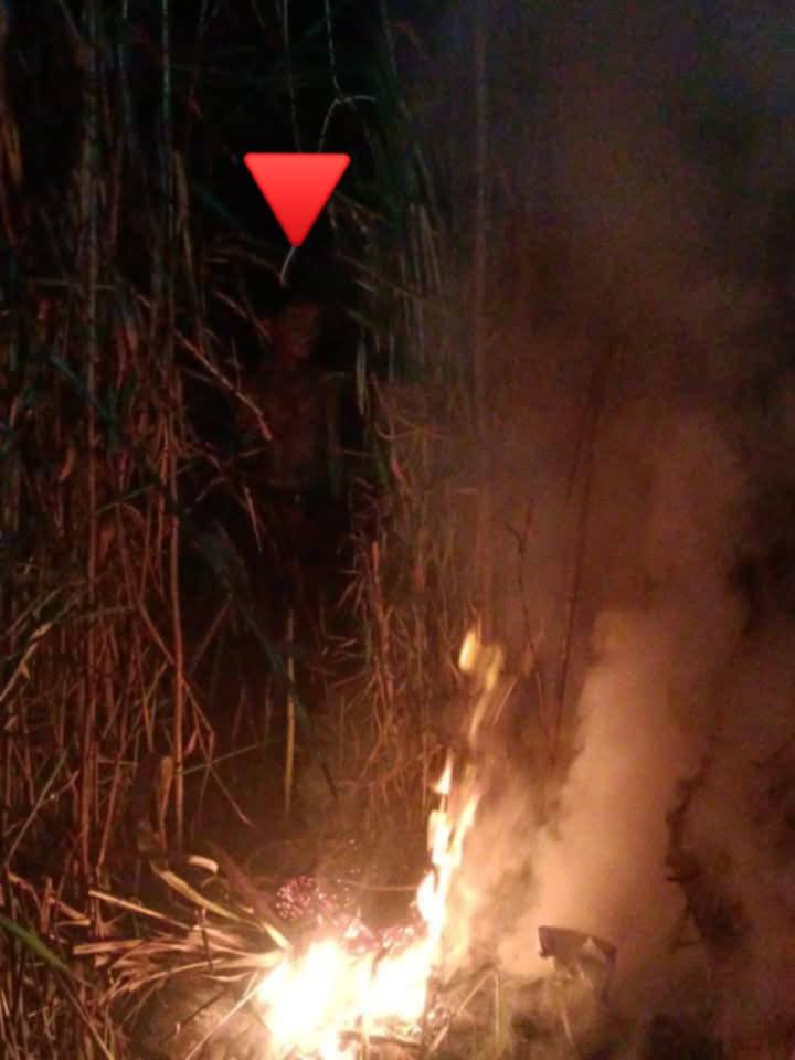 Northern - Imahe sa kaingin? EdSh Diaz Ortego took these photos of a ...