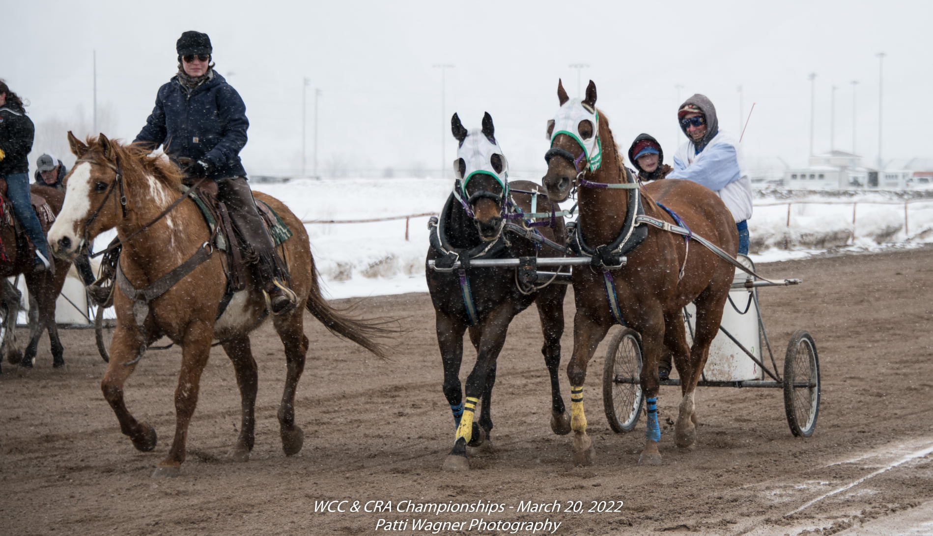 Race #5... - All American Cutter/Chariot Races - Afton, WY | Facebook
