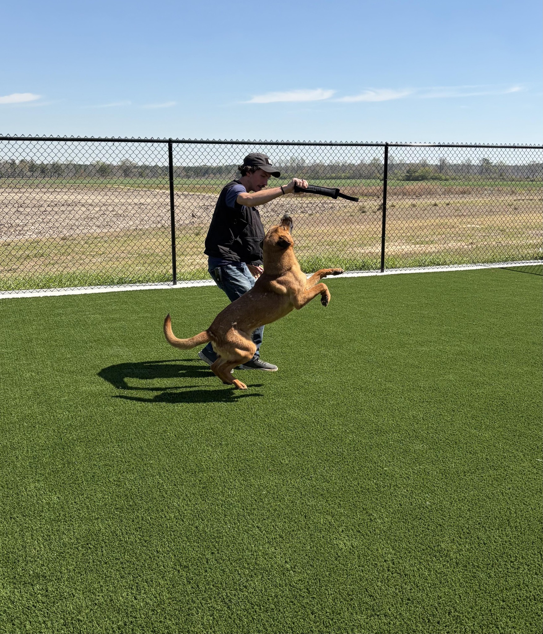Angier K9 Training & Behavior Center