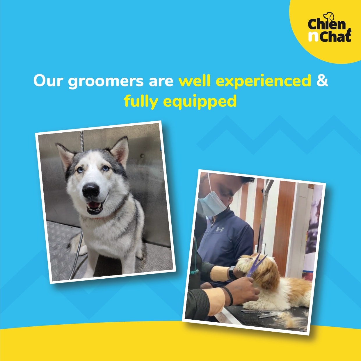 Chien N Chat Pet Shop Spa Home Facebook