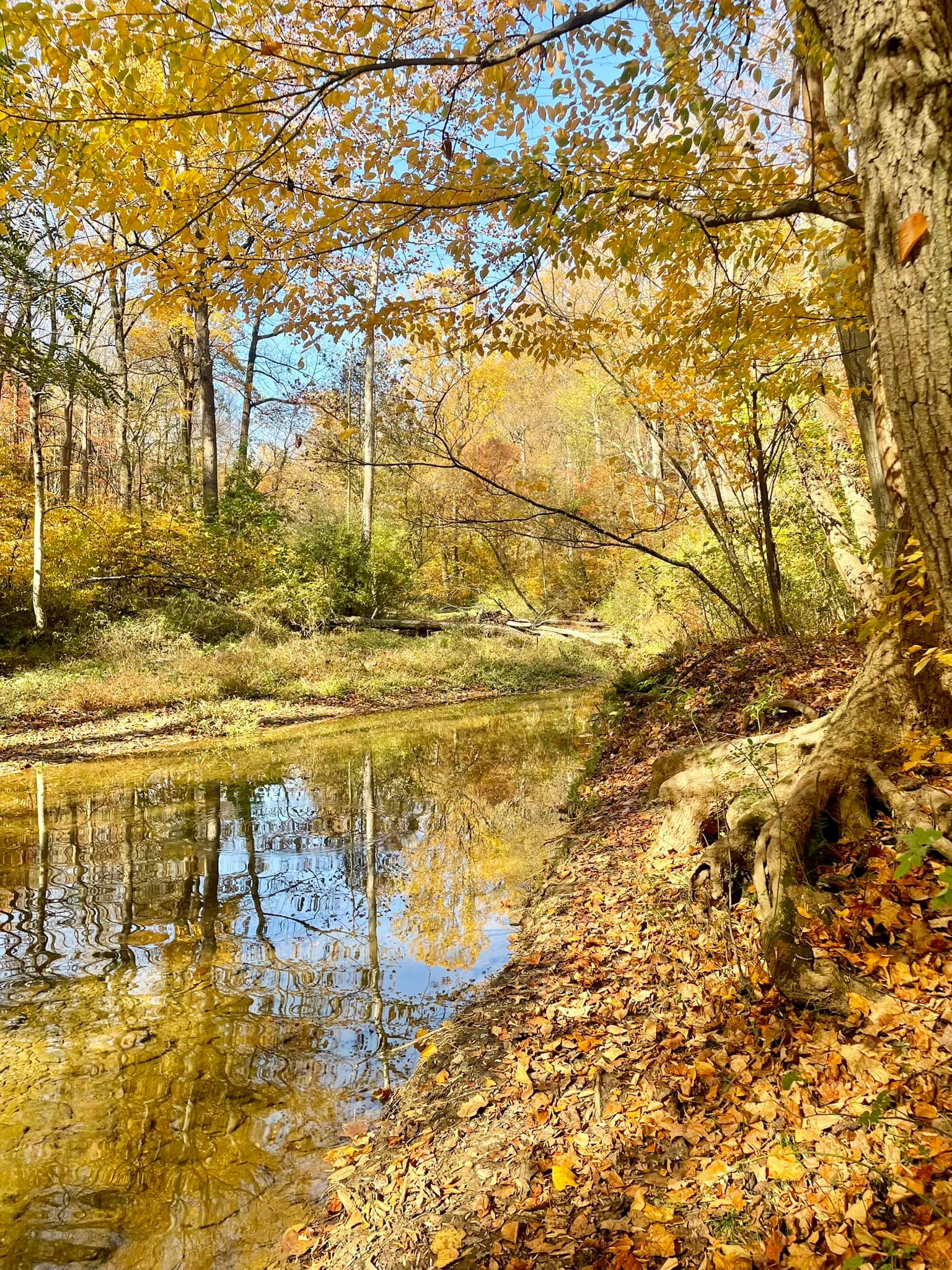 Short but rugged creek trail with no hunting