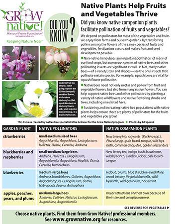 Grow Native - New Did You Know Fact Sheet available from...