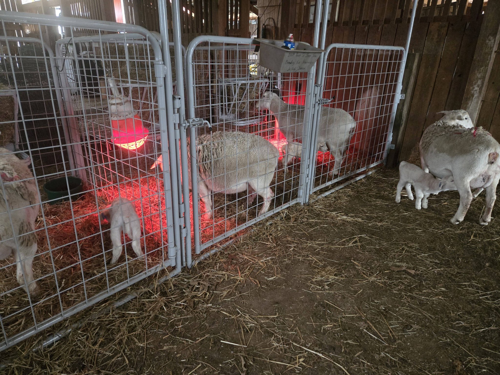 Red Ridge Farm