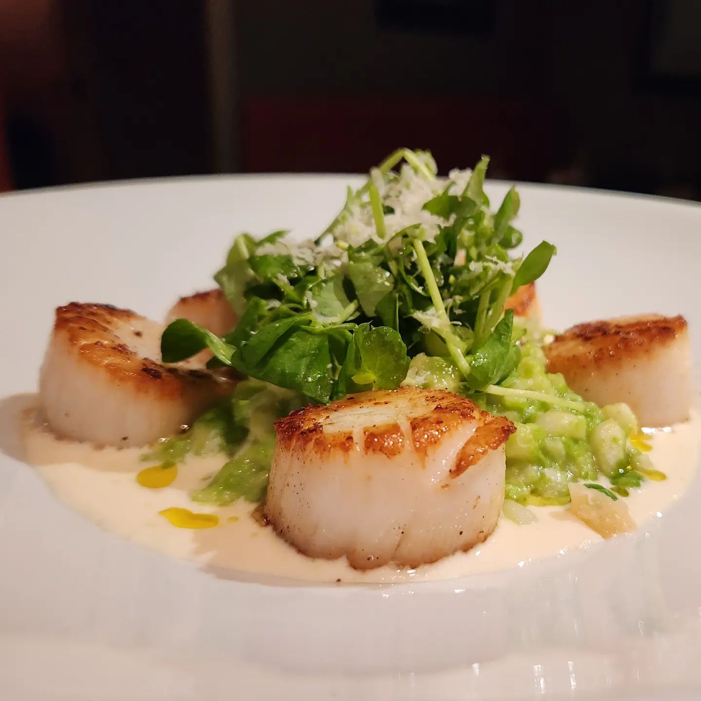 Evoo Restaurant - 🚨New menu item🚨 seared day boat Sea...