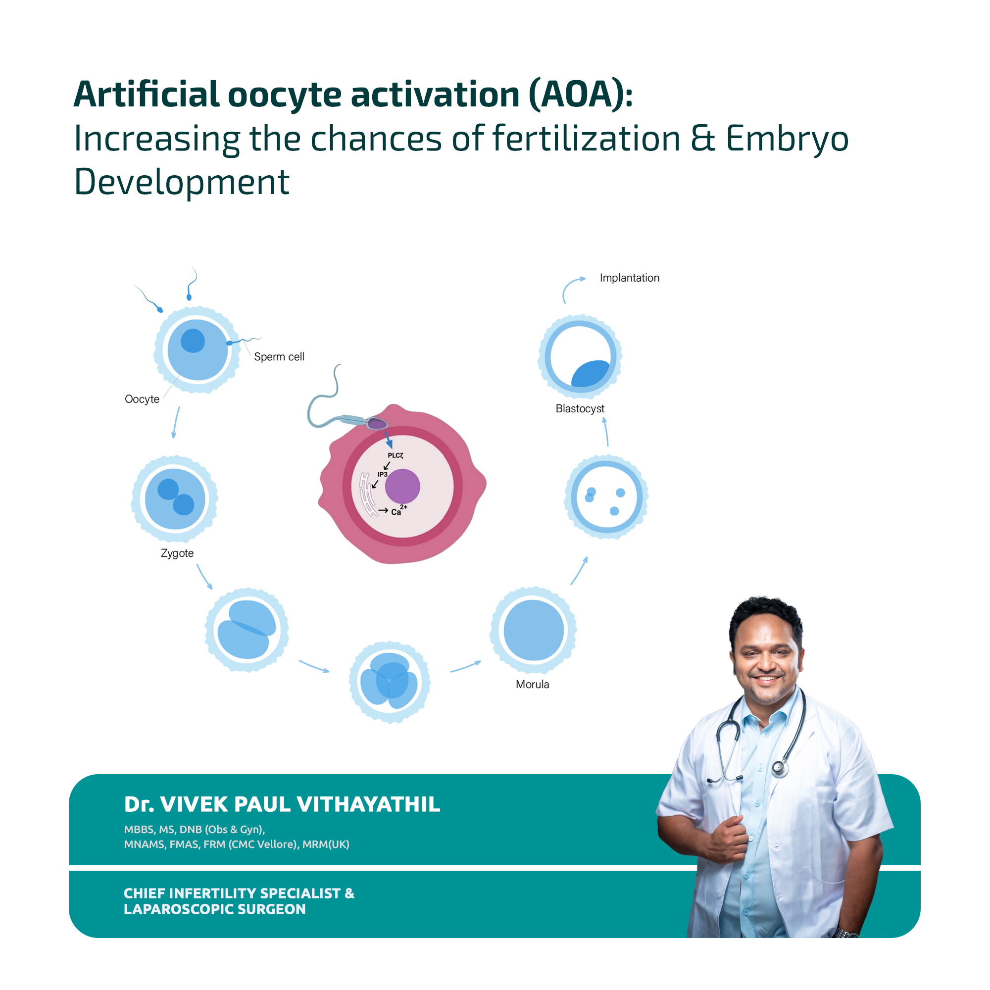 Dr. - Artificial oocyte activation (AOA) is an effective method that ...