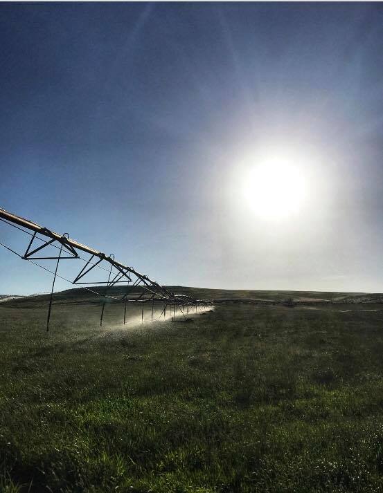 Dunlap and Sons Ranch | Baker City OR