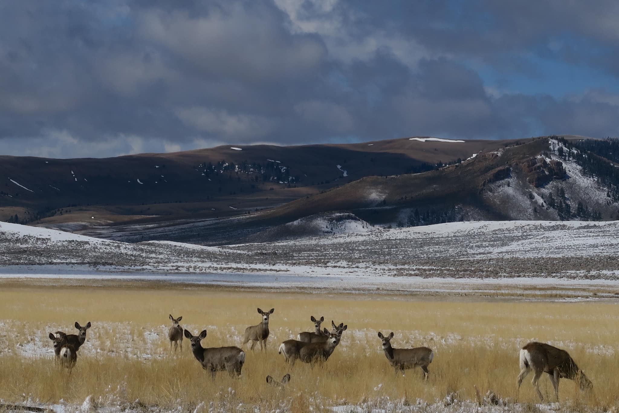 Bitterroot Ranch | Dubois WY