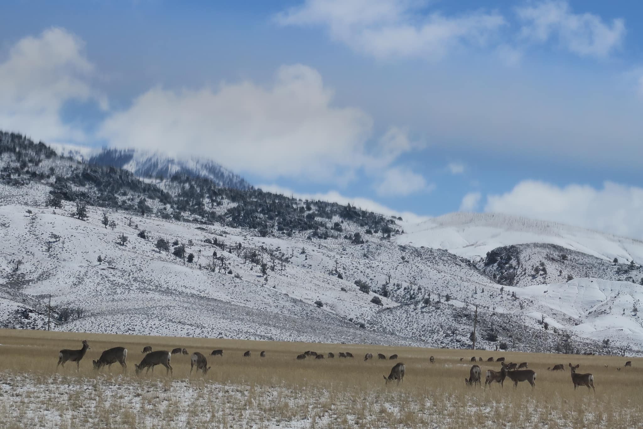 Bitterroot Ranch | Dubois WY