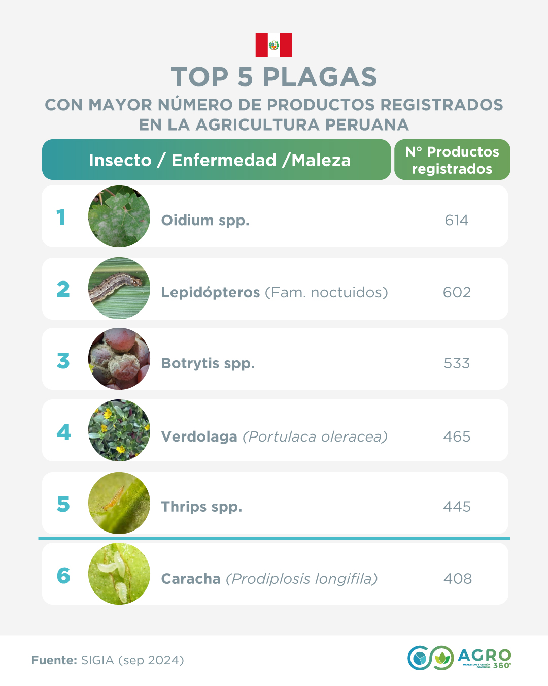 Agro - Información de valor🔝 conoce cuáles son las 5 plagas 🦠🐛🌱 con ...